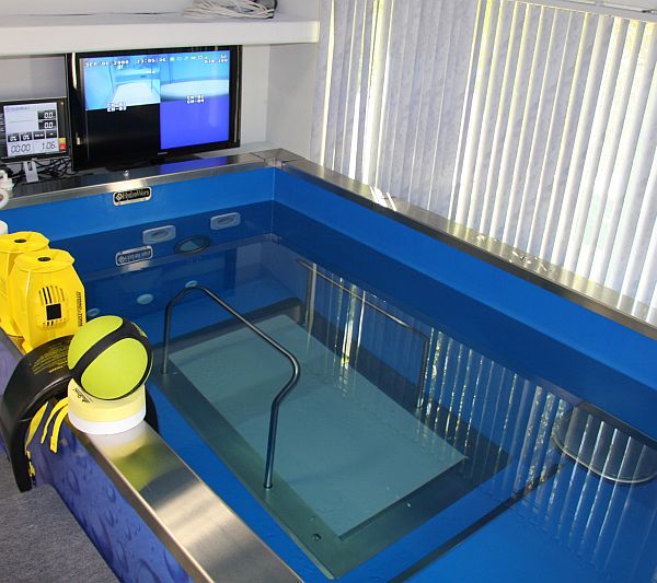 The Underwater Treadmill
